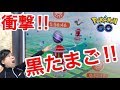 【ポケモンGO】該当のジム!?スイクン探してたら黒卵発見!【EXレイド】