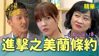 【三隻小豬的逆襲】EP62 美蘭說話算話條約一天兩爭吵果然是薑愈老愈辣【 Piggy's Counterattack】