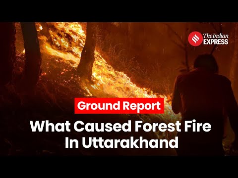 What Caused The Uttarakhand Forest Fire? | Ground Report