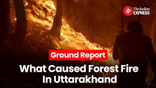 What Caused The Uttarakhand Forest Fire? | Ground Report