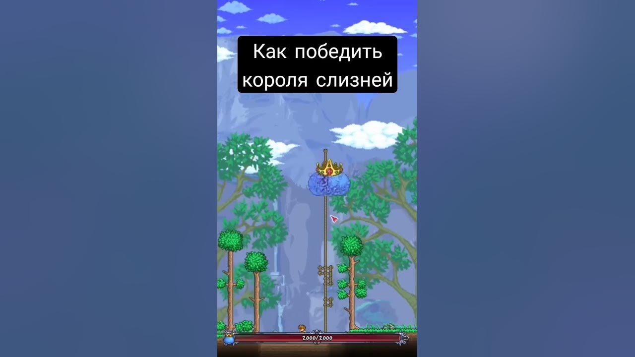 король слизней - YouTube