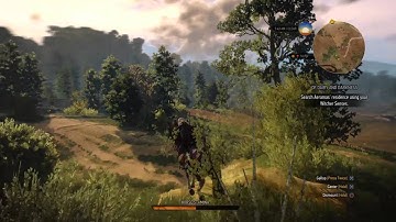 The Witcher 3: Wild Hunt - Roach Can Handstand