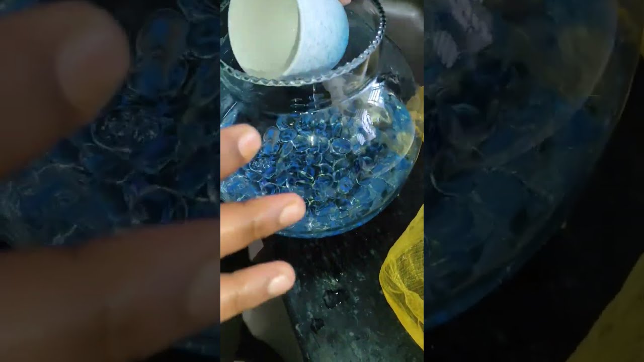 Mini Vlog Part 2 Cleaning Fish Tank Shorts Minivlog