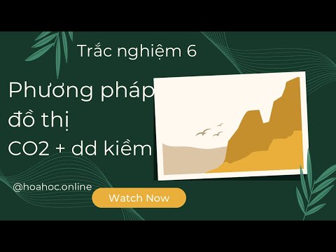 Trắc nghiệm 6 - Phương pháp đồ thị - CO2 + dd Kiềm 