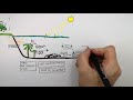 Understanding Eutrophication