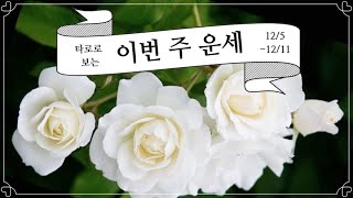 [타로/별자리운세]타로로 보는 주간 별자리 운세 12월 1째주(12/5-12/11)