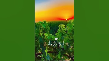سورة الاخلاص ♥️#shortvideo #اكسبلور #دويتو #اكسبلور
