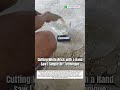 Cutting White Brick with a Hand Saw | Simple DIY Technique #craftedeveryday