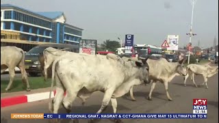 Cattle Invasion In Kumasi: Cattle roaming Kumasi streets hinder city greening efforts - Minister