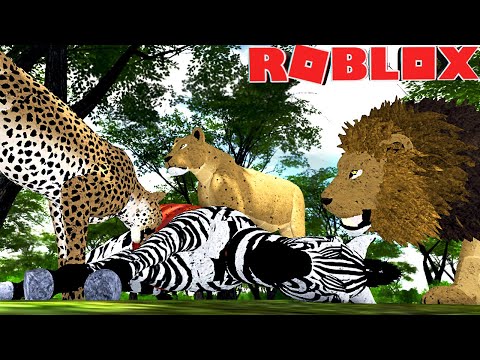 Roblox Wild Savannah Testing A Immortal Zebra The Queen Ostrich Hyena Attack Youtube - roblox wild savannah hyena videos 9tubetv