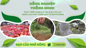 Phát Triển Vùng Cây Ăn Quả Chủ Lực - Nâng Cao Phát Triển Kinh Tế Địa Phương