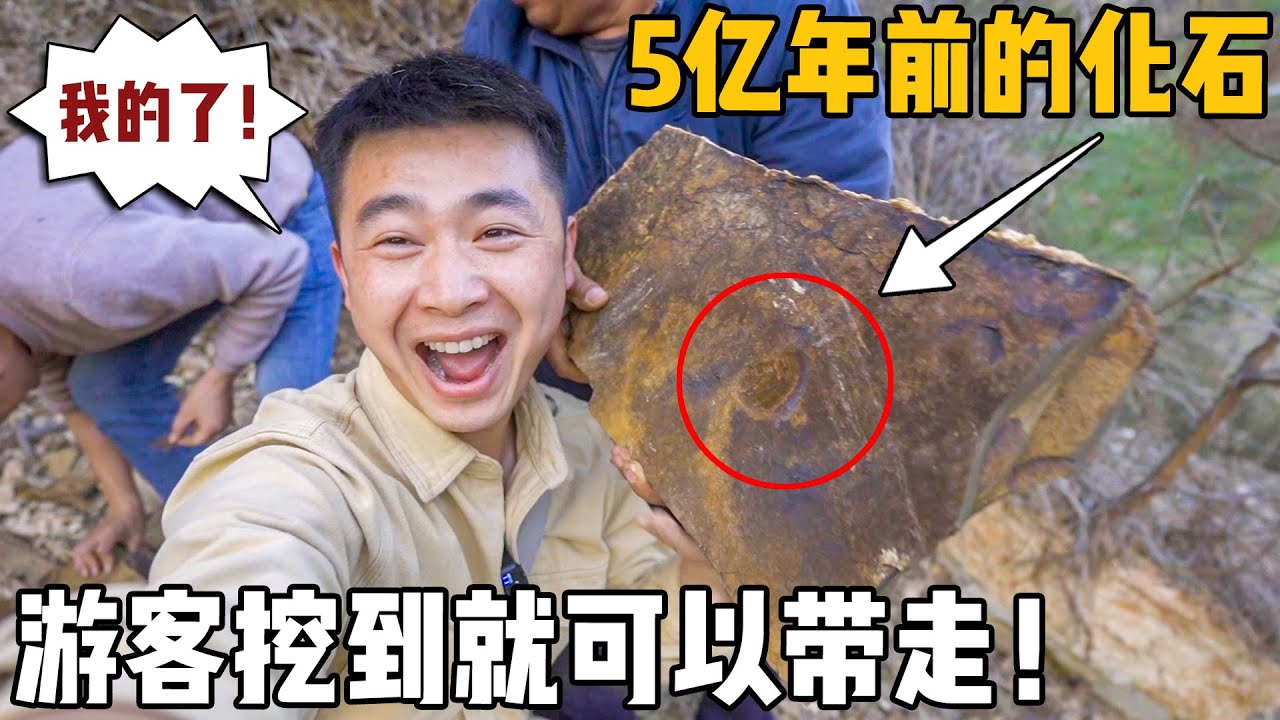 贵州这个村子厉害了，游客挖到5亿年前的化石，可以随便带走！【小白的奇幻旅行】