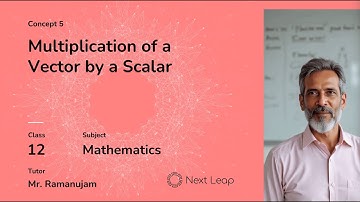 Multiplication of a Vector by a Scalar | Class 12 Maths | Vector Algebra
