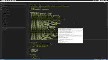 ASP.NET MVC Running on Mac OS X