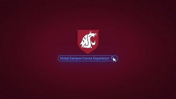 Global Campus Course Experience