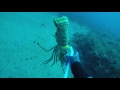 Mini lobster season 4K video test