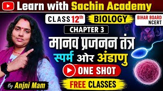 स्पर्म और अंडाणु Explained | मानव प्रजनन तंत्र | 12th Biology |chapter 3| Bihar Board ncert|