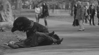 Schmidtt Tackles Injurylawyers4U