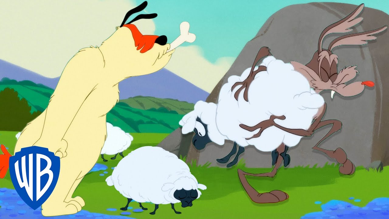 Looney Tunes | How To (Not) Catch Sheep | @WB Kids