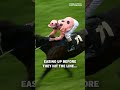 Where were you when BLACK CAVIAR took out the Jubilee Stakes after a photo finish?! 📸