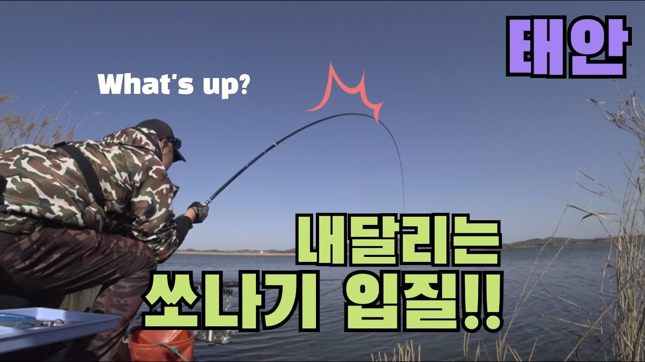 태안 부남호 쏘나기 입질!! #붕어낚시 #수로낚시