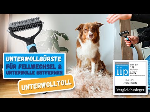 Video: Wie oft sollte ich meinen Chow bürsten?