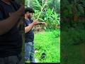 New Best Hook Fishing Video  (Satisfying Pond Catch) #hookfishing