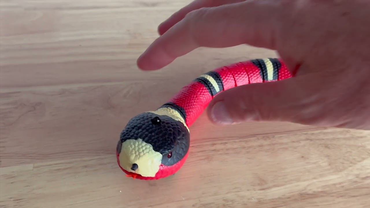 Robot snake toy prank - Realistic Robosnake Coral Poisonous Snake