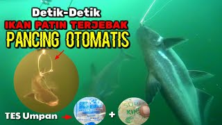 Eksperimen Terbaru : Umpan Boa Edan   Kinoy || Strike Ikan Patin Dengan Pancing Otomatis