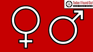 the origin of the male and female symbols