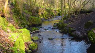 Nature Sound Effects - Water Stream in the River SFX Audio Background