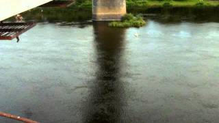 Роупджамп Гомель: Самый массовый прыжок.avi