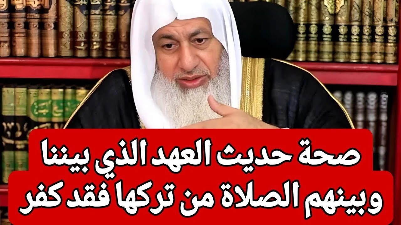 صحة حديث العهد الذي بيننا وبينهم الصلاة من تركها فقد كفر ؟!