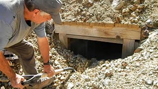 Spiders, Snakes, Lizards and Colorful Minerals, Oh My!  🕷🐍🦎💎⛏️