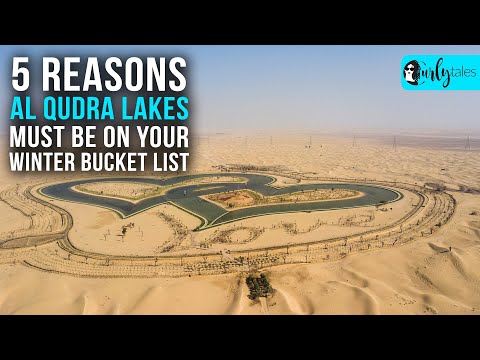 5 Reasons Al Qudra Lake Must Be On Your Winter Bucket List | Curly Tales