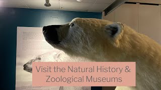 Natural History &amp; Zoological Museum, Copenhagen