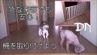 ＜DIY＞犬の飛び出し防止！急な来客にも慌てない！柵を作りました