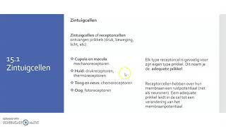 15.1 Zintuigcellen deel 2