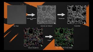 NanORange: Transforming Microscopy Images into Data with AI