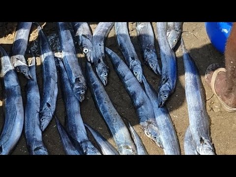 ARUN PUNCHAKKARI VLOG is live - YouTube
