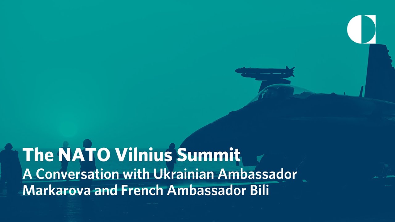 The NATO Vilnius Summit