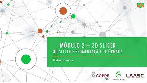 M2A2 - 3D Slicer e Segmentação de Órgãos
