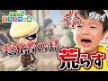【荒らし】大物実況者の島荒らしたったww【あつまれどうぶつの森】【パグ】
