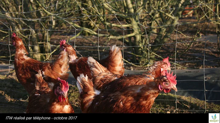 Faire dialoguer ECONOMIE avec ECOLOGIE - Louis DUP...