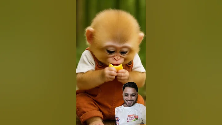 મેં કેસે હસતા હું || #funny #comedy #monkey