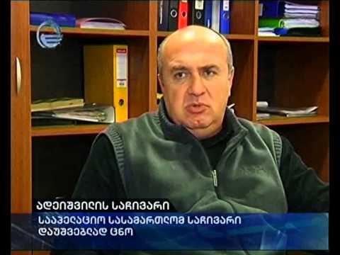 ადეიშვილის საჩივარი