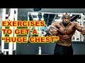 Exercises To Get A "HUGE CHEST" | Kali Muscle