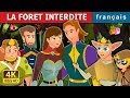 LA FORET INTERDITE | The Forbidden Forest Story | Histoire Pour S'endormir | Contes De Fées Français