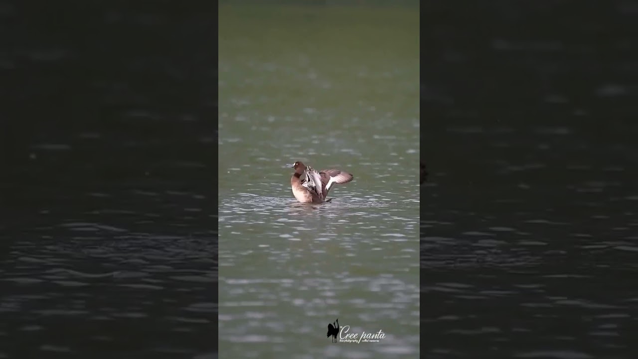 Exploring the Hidden Beauty of Nepal's Taudaha Lake