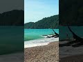 Stress Relief and Insomnia • Relaxing Piano Music and Soft Wave Sounds for Deep Sleep & Calming